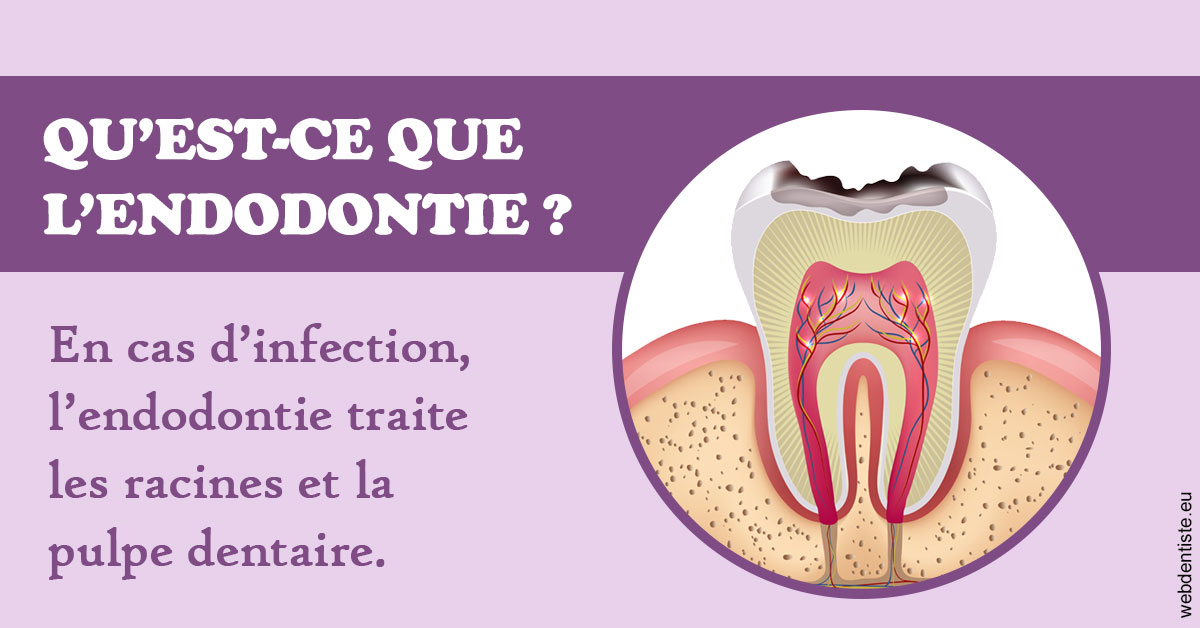 https://www.dentaire-carnot.com/2024 T1 - Endodontie 02