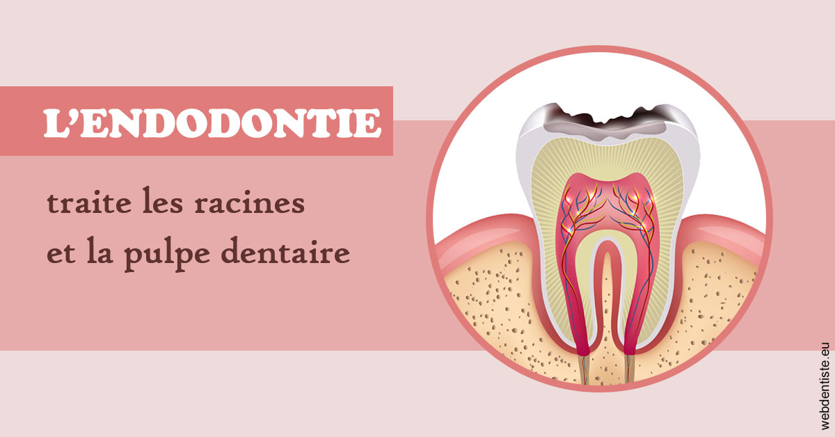https://www.dentaire-carnot.com/L'endodontie 2
