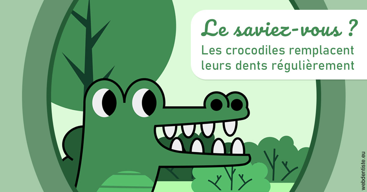 https://www.dentaire-carnot.com/Crocodiles 2