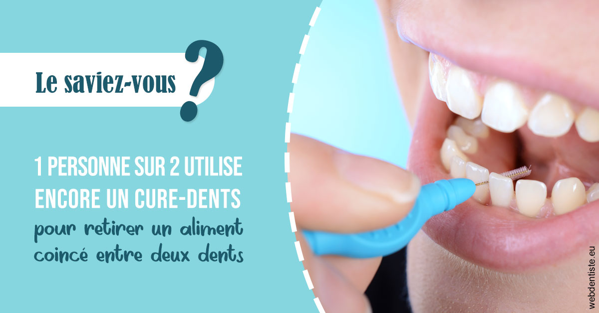 https://www.dentaire-carnot.com/Cure-dents 1