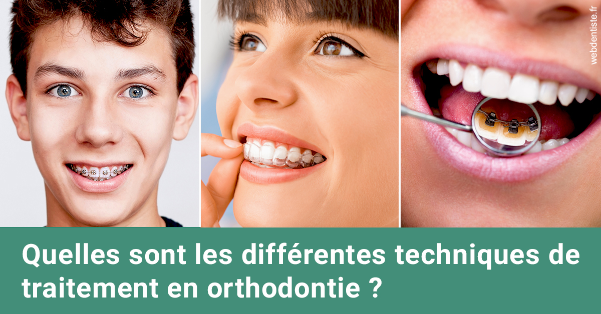 https://www.dentaire-carnot.com/Les différentes techniques de traitement 2