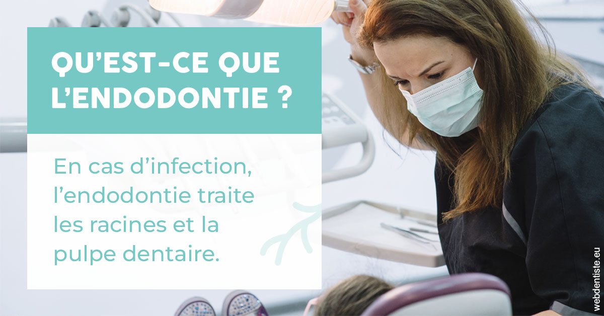 https://www.dentaire-carnot.com/2024 T1 - Endodontie 01